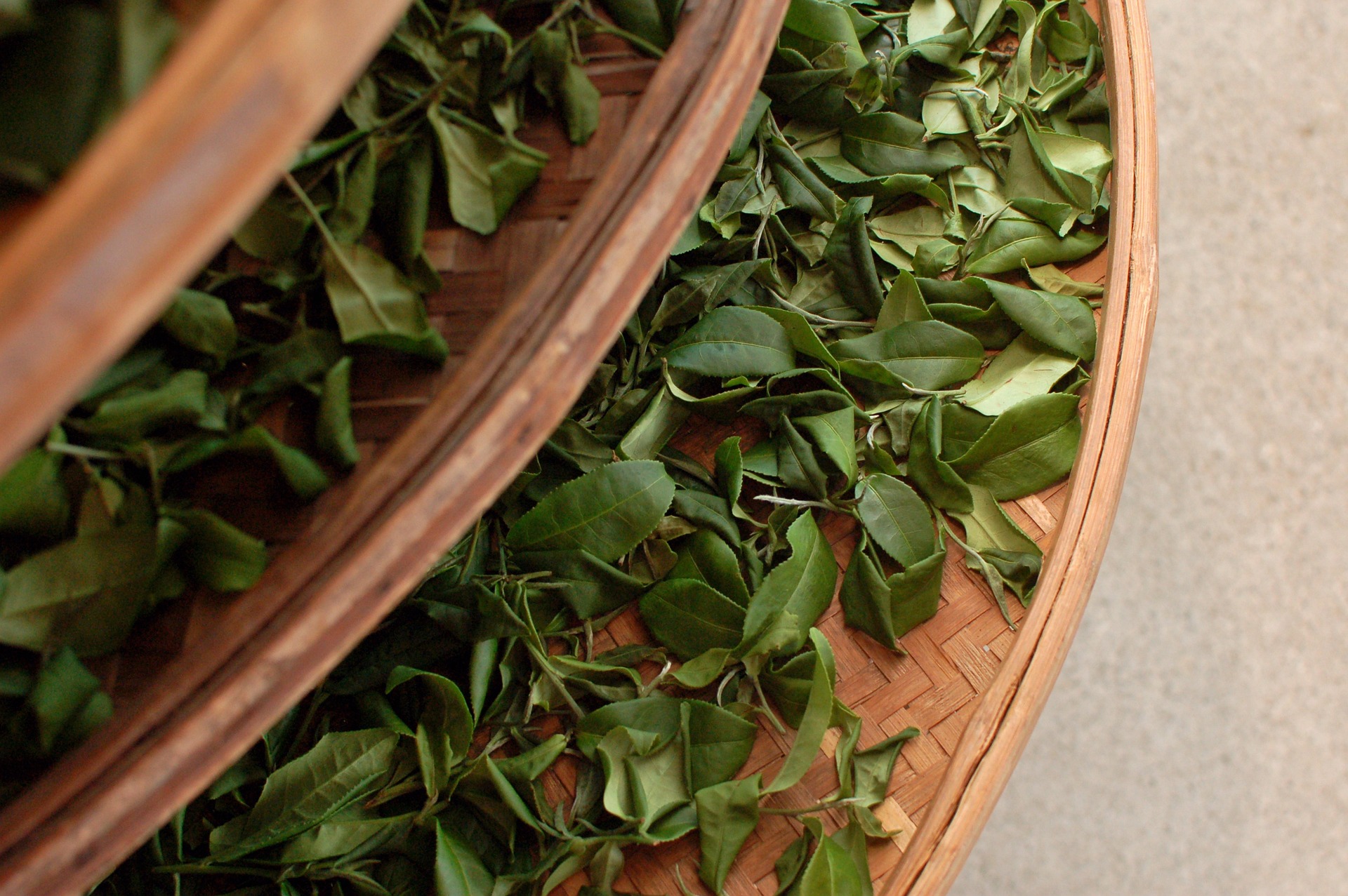Tieguanyin Oolong