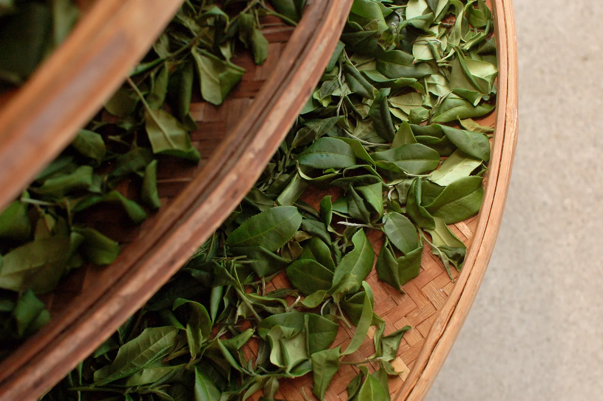 Tieguanyin Oolong
